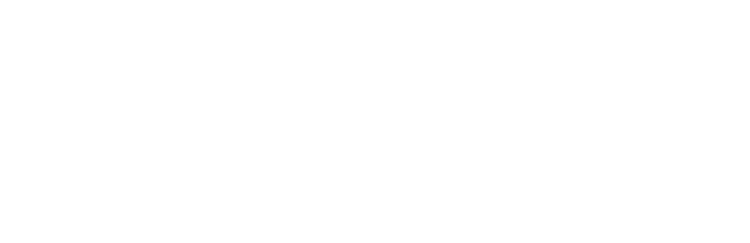 perdix logo (1)